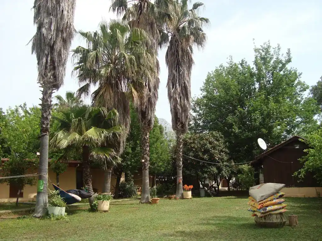 7 Garden'dan bir kare — Instagram
