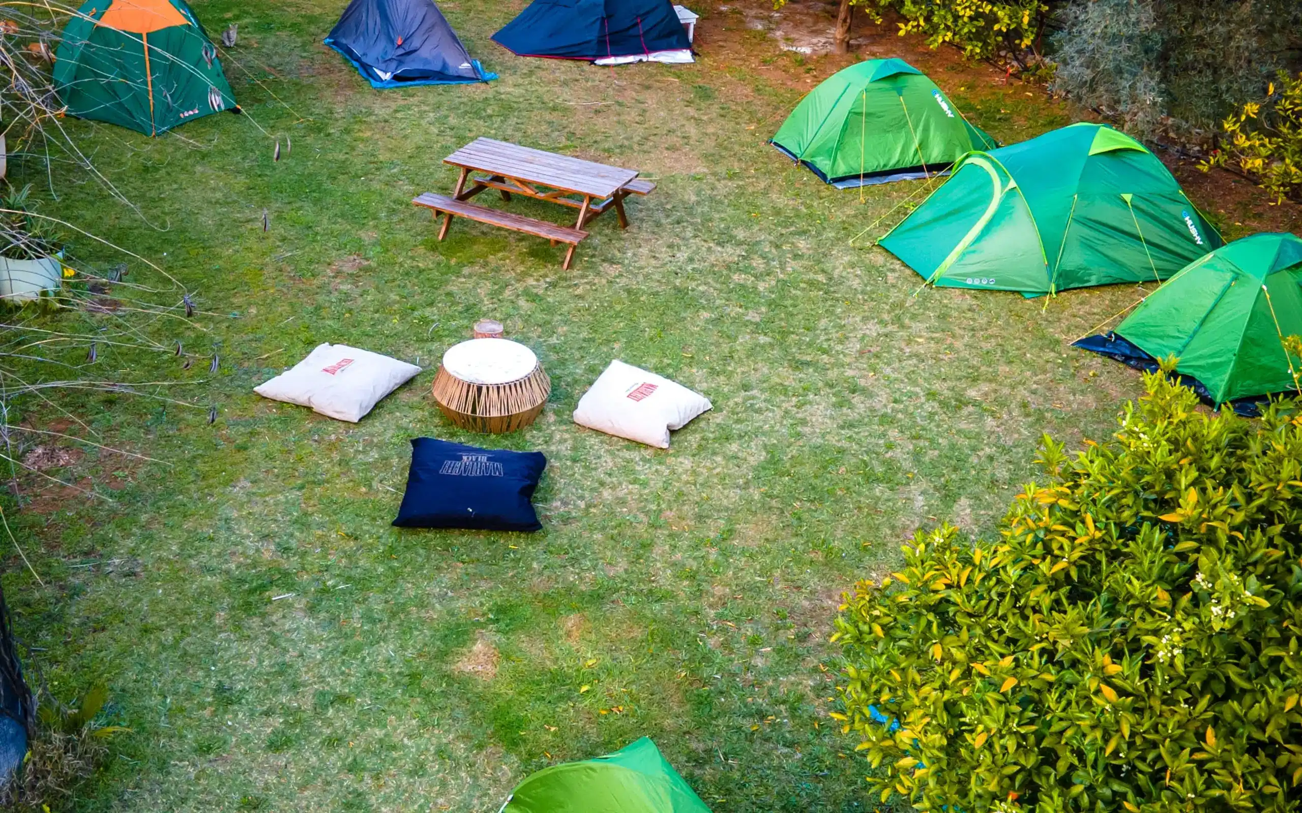 7 Garden'dan bir kare — Instagram